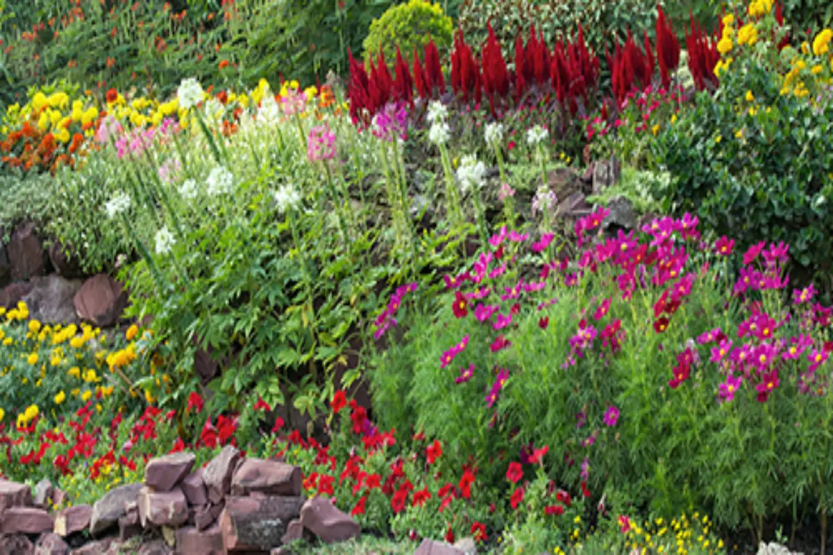 flower garden at neon