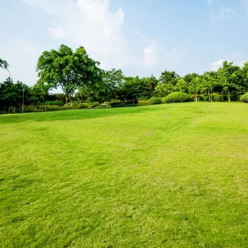 modern spaaces plots